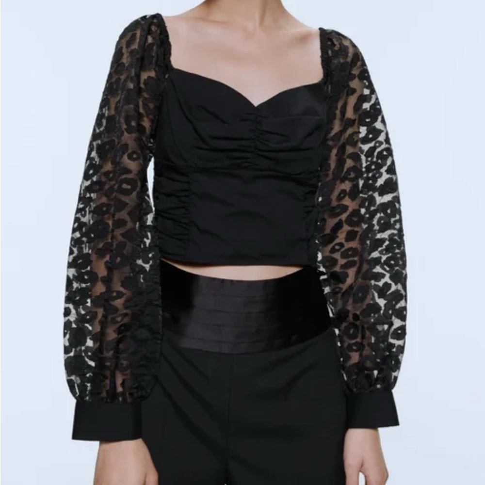 Elegant Black Sheer Sleeve Top